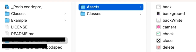 place them in the _assets_ folder. you do not need to create a new folder for assets